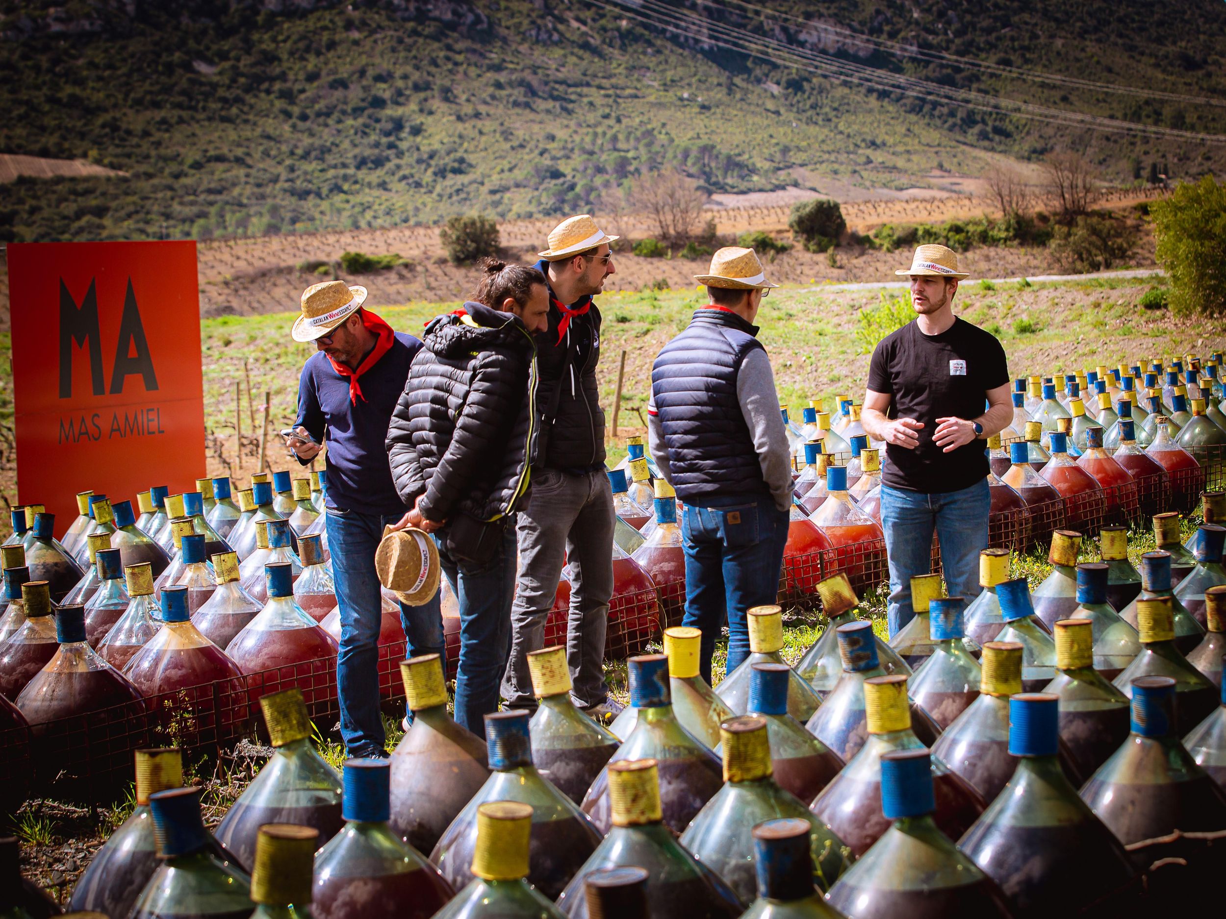 Weintour im Minibus: Picknick- und Weintag rund um Perpignan
