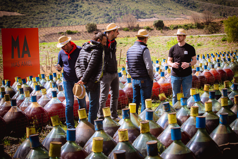 Wine Tour by minibus: Picnic Day and Wines around Perpignan Privatization