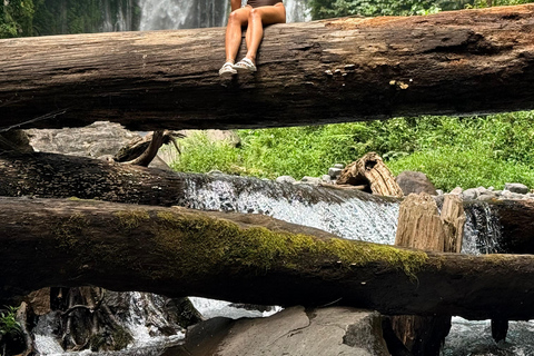 Lombok Private tour : Sendang Gile & Tiu Kelep Waterfall Special Option For Group Tour