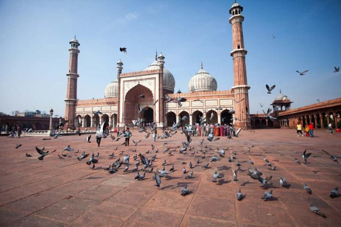 From Delhi 3 Days Golden Triangle Tour: Delhi, Agra & Jaipur Private: 3 Days Tour With Car & Guide Only (Without Hotel)
