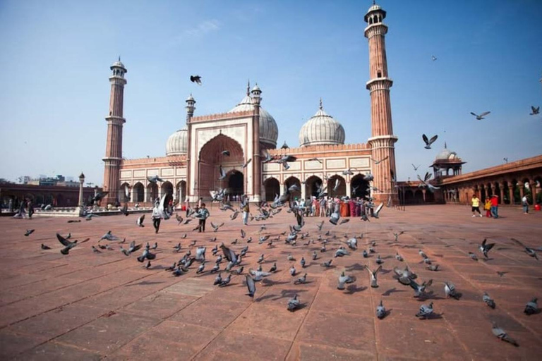 From Delhi 3 Days Golden Triangle Tour: Delhi, Agra & Jaipur Private: 3 Days Tour With Car & Guide Only (Without Hotel)