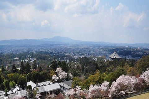 Discover Nara: The City of Deer, Temples & Timeless Beauty