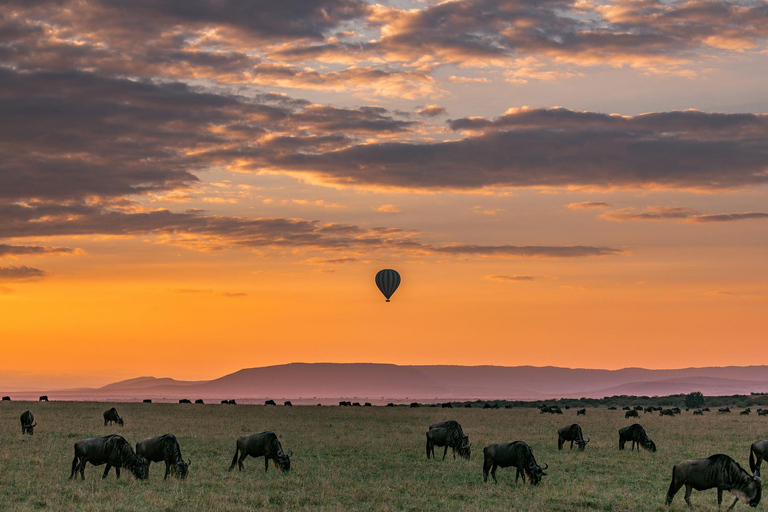 Tanzânia: Safári de 7 dias com acampamento no Serengeti e NgorongoroTanzânia: Safari de 7 dias com acampamento no Serengeti e Ngorongoro