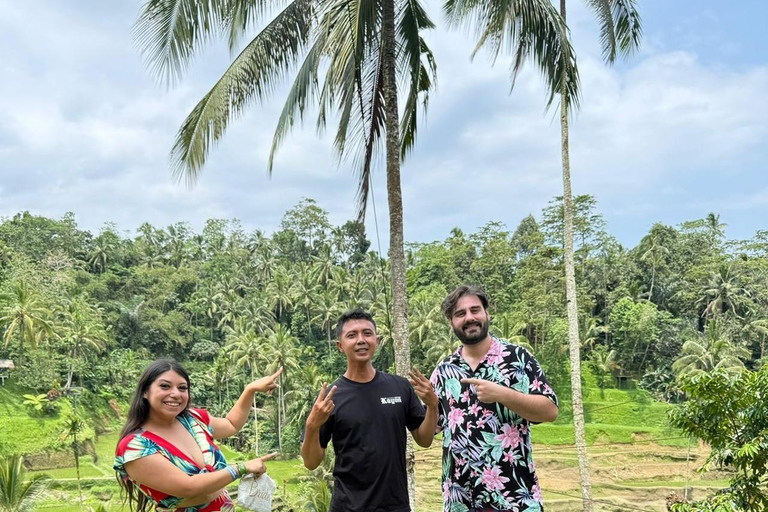 Ubud: Private Half-Day Tour Rice Terrace, Temple & Waterfall Private Ubud Half-Day Tour (Without Entrance Ticket)
