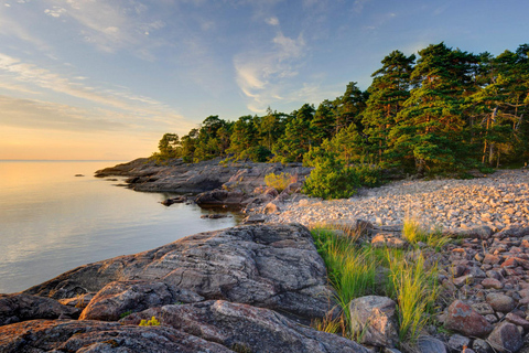 Gothenburg: Private Day Trip to Lake Vänern &amp; Läckö Castle