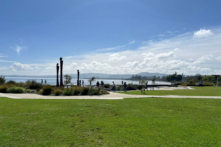 Viagem particular de 1 dia para Te Puia Rotorua