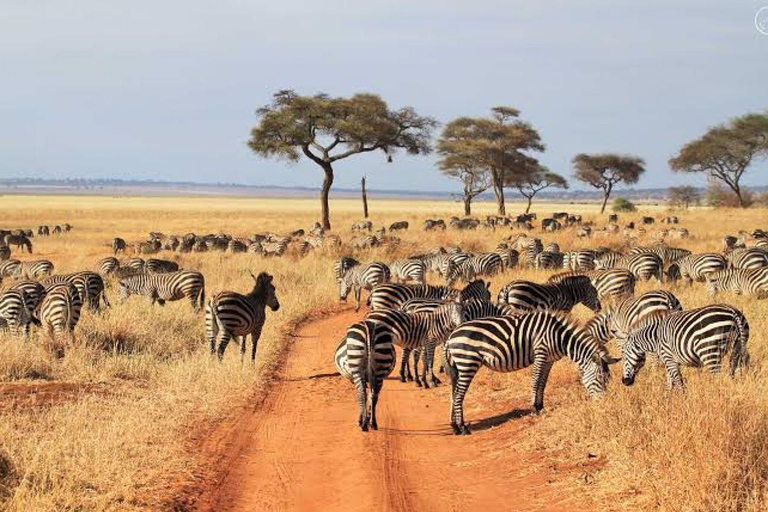 Majestic landscapes: A 5day Safari Adventure