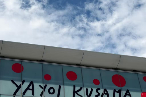 Nagano: Matsumoto Art Museum Ticket & Digital Plan
