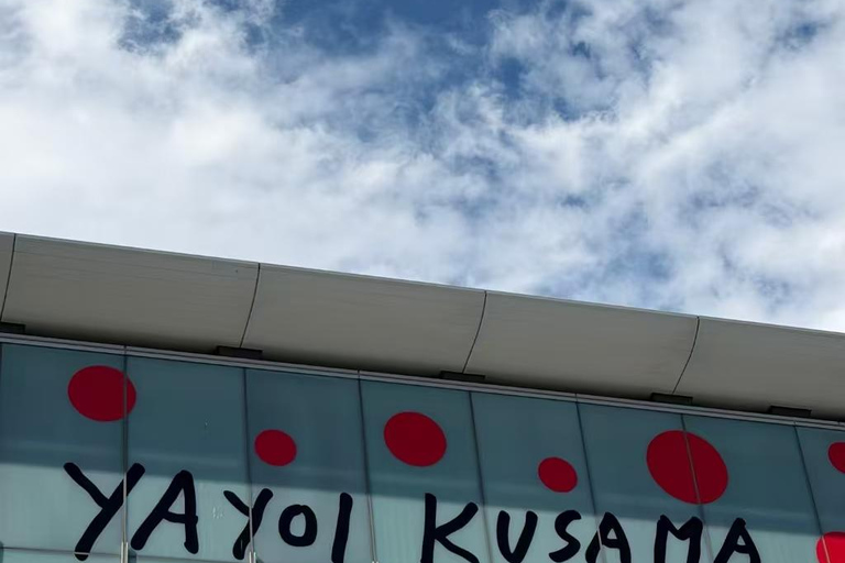 Nagano: Matsumoto Art Museum Ticket & Digital Plan