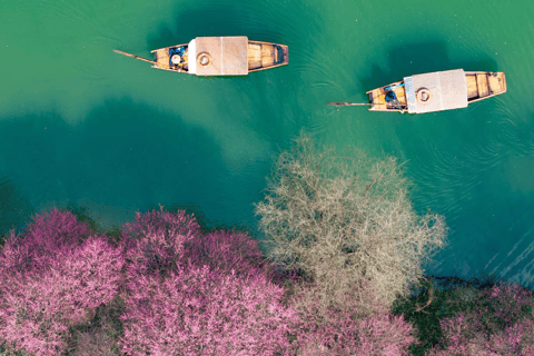 Hanzghou H-quality daytour: Xixi Wetland & Longjing Village