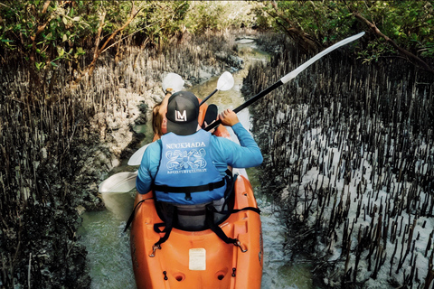阿布扎比红树林皮划艇之旅（含酒店接送）