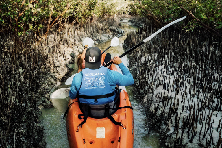 阿布扎比红树林皮划艇之旅（含酒店接送）
