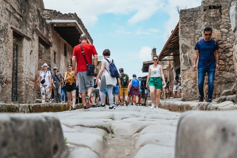 Pompeji: Halbtägiger Ausflug ab Neapel oder SorrentAb Neapel: Tour auf Italienisch mit Abholung vom Bahnhof