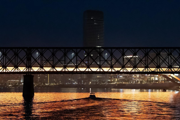 Cruise in Belgrade: Sava and Danube River Cruise with Views