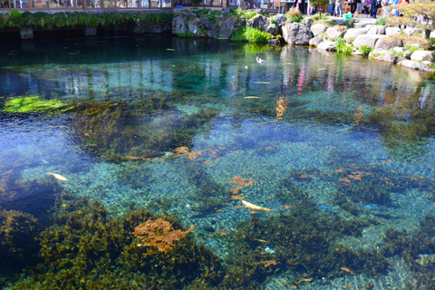 Tokyo : Excursion d'une journée à la 5e station du Mont Fuji, dans la région du Fuji et à Kawaguchiko8:20 Rendez-vous au bureau de poste de Shinjuku
