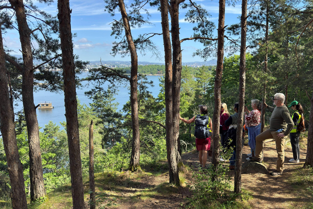 Paseos por la Naturaleza de Oslo: Excursión por las islas