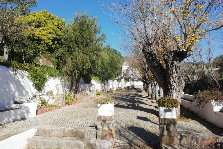 Det traditionella AlgarveTraditionella Algarve