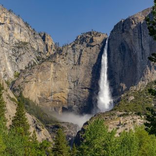 Van San Francisco: Yosemite-tour met wandeling met gigantische sequoia's