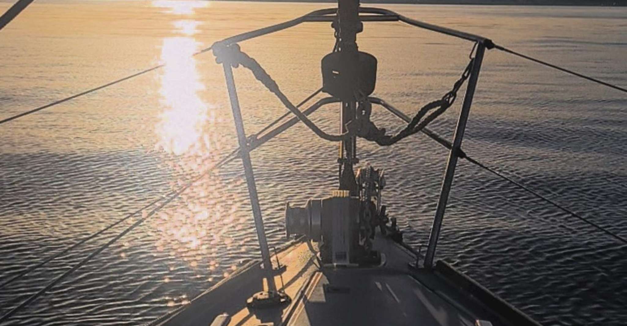 Sotogrande: Dolphin Watching Boat Trip with Drink photo 7