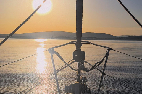 Sotogrande: passeio de barco para observação de golfinhos com bebida