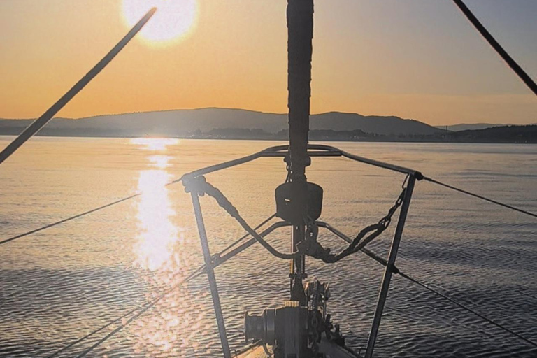 Sotogrande: Excursión en barco para avistar delfines con bebida