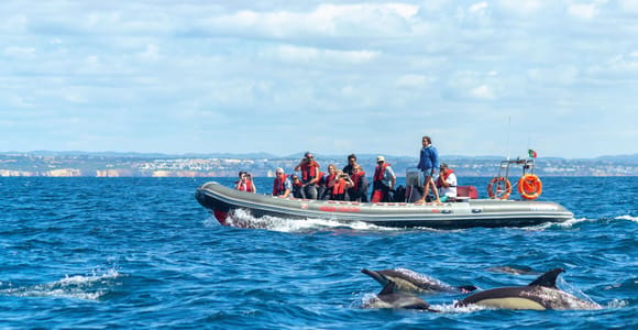 Lagos: dolfijnen en de grotten van Benagil – RIB-boot