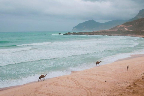 Fazayah Beach of the Indian Ocean and Mughsail Beach