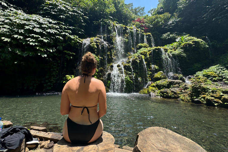 Bali: Shore Excursion Cruise Ship From Celukan Bawang Port Customize Your Own Itinerary (Not Include Entrance Tickets)