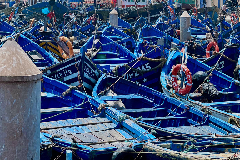 From Marrakech: Essaouira Day Trip with Beach & Medina Essaouira Small Group Day Trip