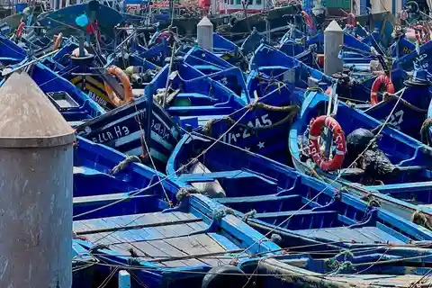 Fra Marrakech: Dagstur til Essaouira med transport