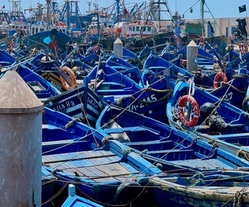 Vanuit Marrakech: Dagtrip naar Essaouira met transfers