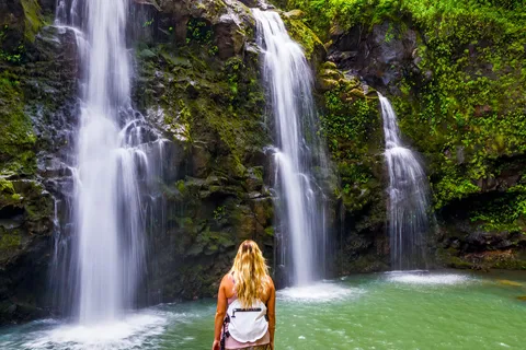Maui Tropical Rainforest Eco Tour with Lunch