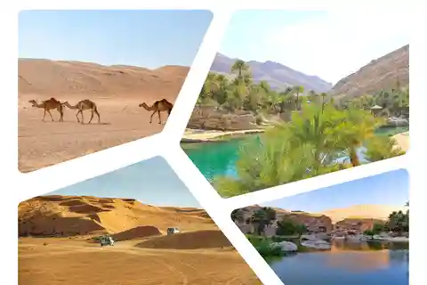 Tour di un giorno intero di Wahiba Sands e Wadi Bani Khalid da Muscat