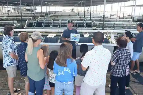 Big Island: Tour guidato della fattoria di abaloni con degustazione