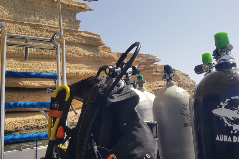 Île de Daymaniyat : Aventure de 2 plongées !