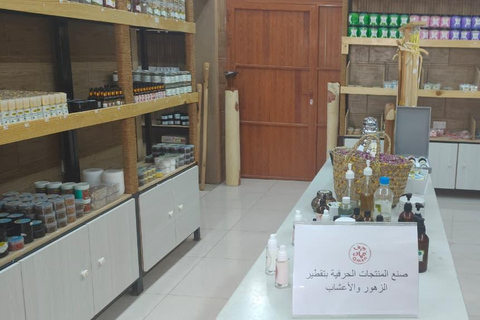 Muscat: Green Mountain with Castle, Fossil & Villages Tour