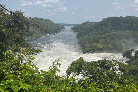 2 jours de safari dans le parc national des chutes Murchison, faune et flore d&#039;Ouganda