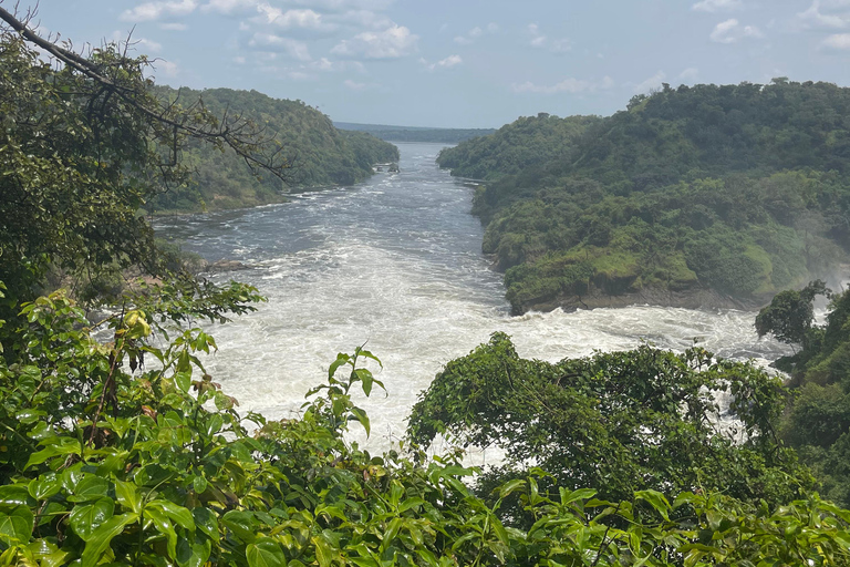 2 jours de safari dans le parc national des chutes Murchison, faune et flore d&#039;Ouganda