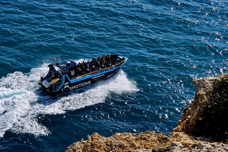 Portimão: Benagil Caves & Dolphins Watching with Biologist