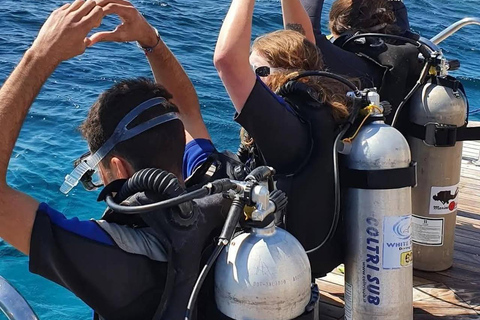 Hurghada: Beginner Diving Trip with Lunch, Transfer & Gear Boat Cruise with 2 Snorkeling Sites with Lunch & Transfer
