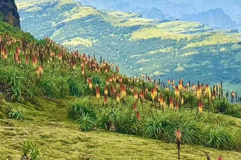 From Addis Ababa: 19-Day Ethiopia Guided Tour with Flights