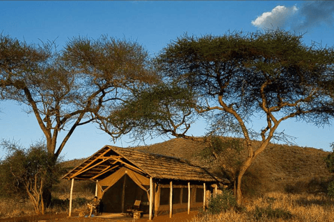 阿鲁沙：3日姆科马齐国家公园与马赛村落之旅