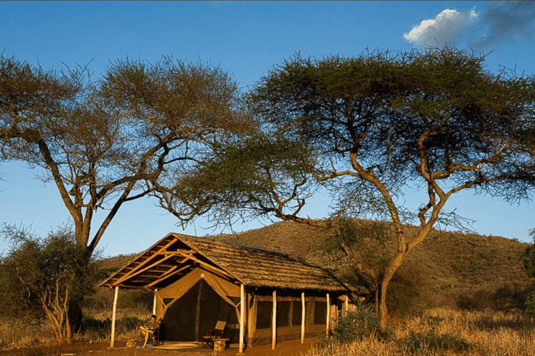 阿鲁沙：3日姆科马齐国家公园与马赛村落之旅