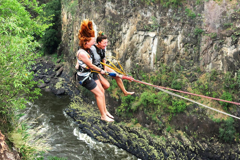 From Namibia to Botswana and Vic Falls: 15 Days Guided Lodge