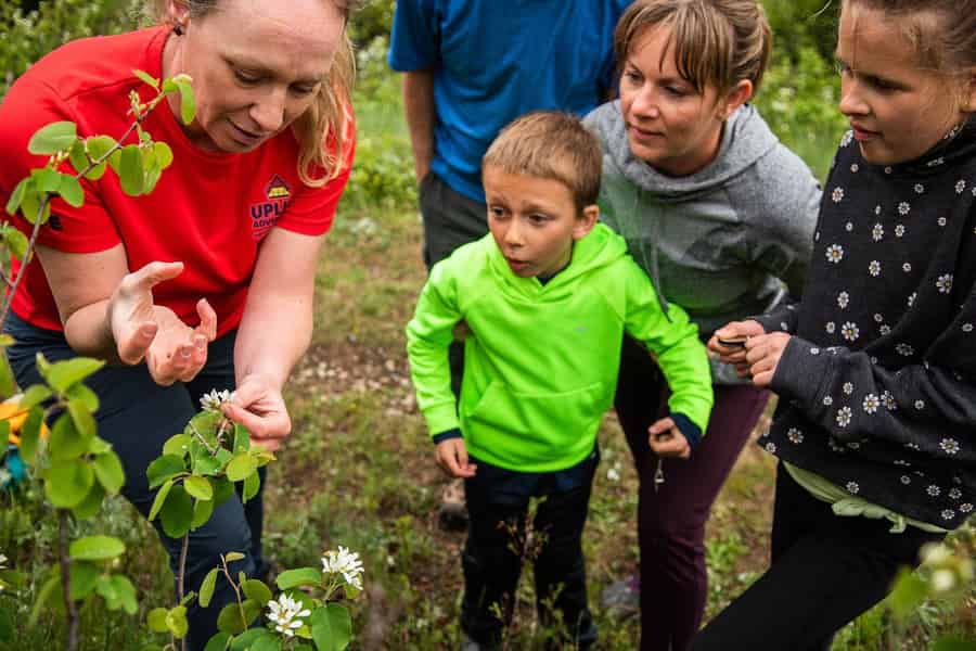 Waterton: Wildblumen-Wanderung. Foto: GetYourGuide