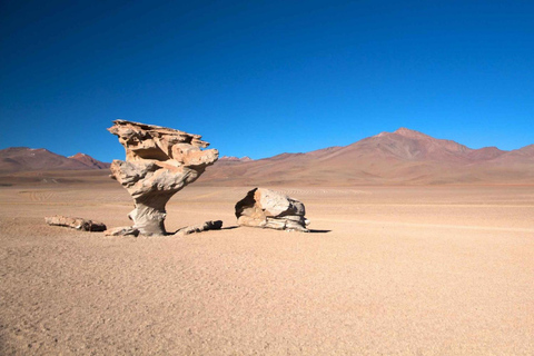 Von Atacama | Salar de Uyuni 4 Tage der größte Salzsee