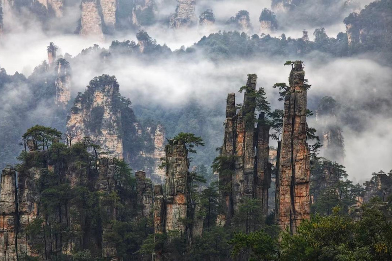 Zhangjiajie National Park-Mt.Avatar Landing Tour