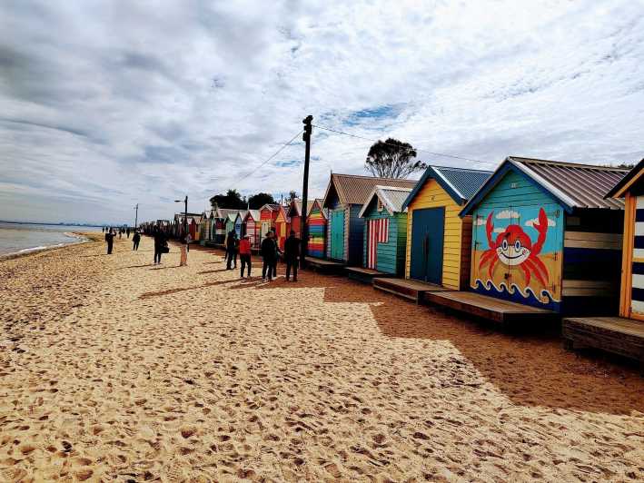 Melbourne 3-Hour Small Group Tour with Beach Boxes