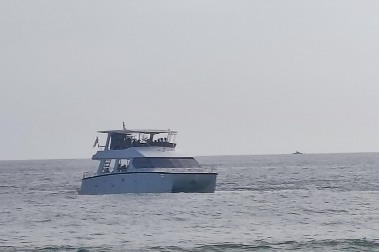 Mirissa: tour in barca con osservazione balene al tramonto e musica