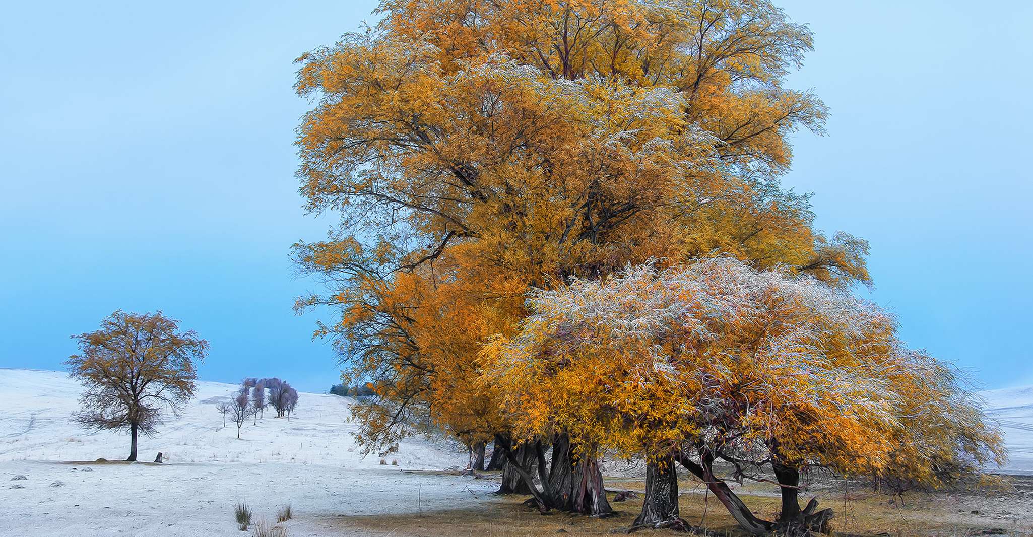 Altyn-Emel National Park UNESCO - Housity